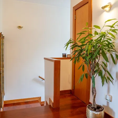 Refugio Velhas Holiday home
